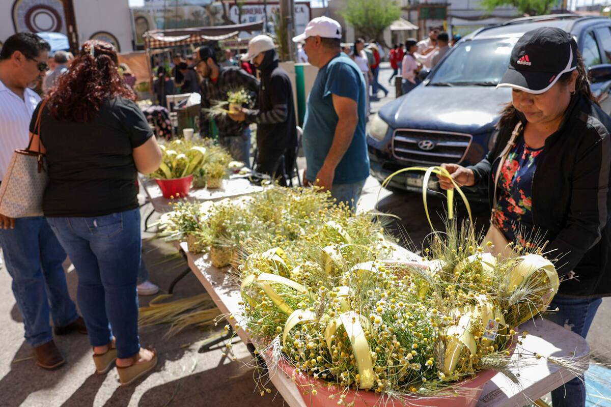 Inicia la Semana Santa con el Domingo de Ramos en Mexicali