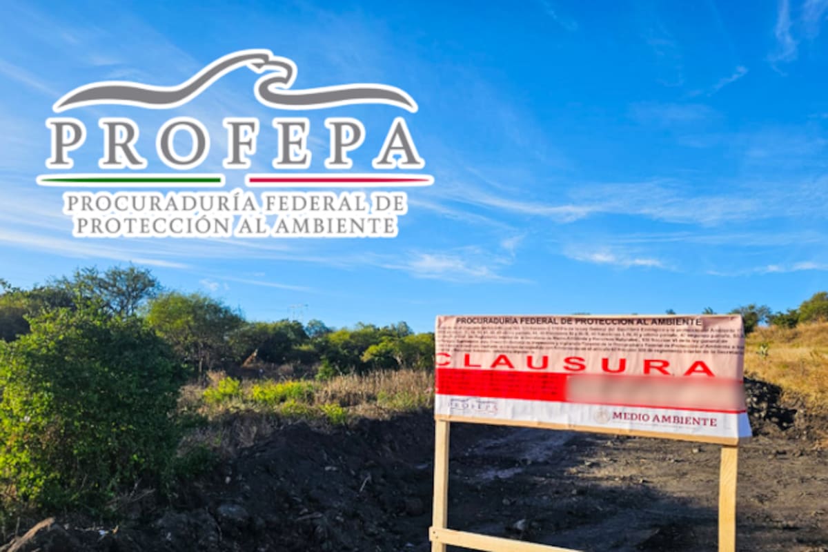 Profepa clausura en Querétaro un predio de más de 28 mil metros cuadrados por remoción ilegal de vegetación para construir un fraccionamiento habitacional