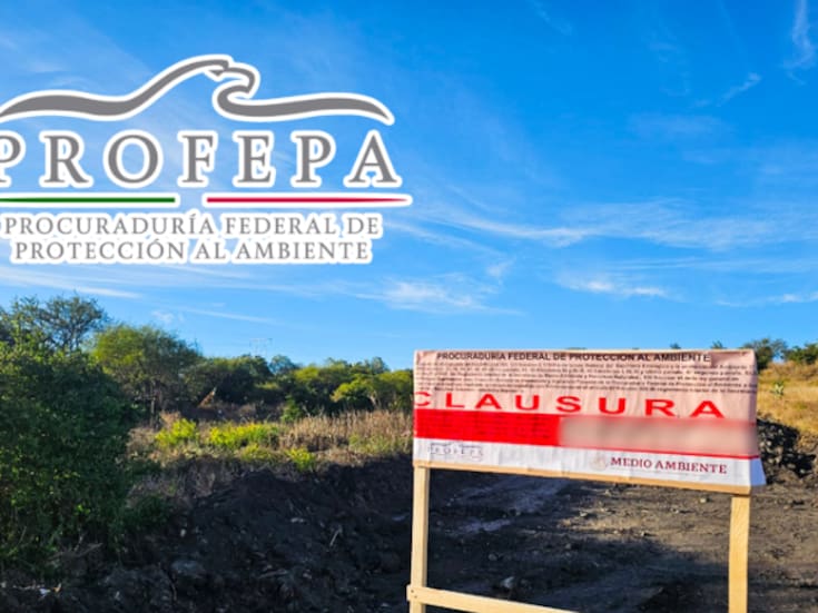 Profepa clausura en Querétaro un predio de más de 28 mil metros cuadrados por remoción ilegal de vegetación para construir un fraccionamiento habitacional
