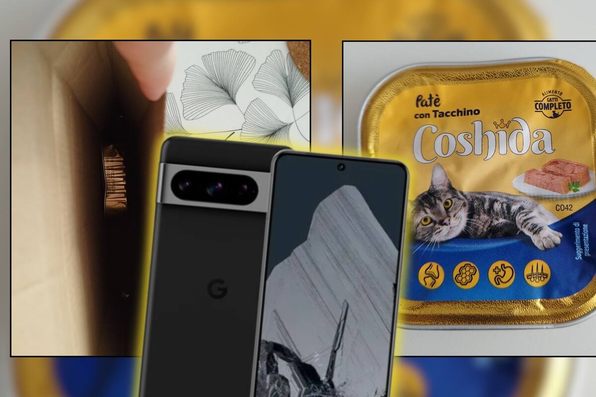 Pidió un celular de más de 14 mil pesos en Amazon, pero en su lugar recibió comida para gato: ¿Cómo puedes reclamar un producto a través de la aplicación si te pasa algo similar?