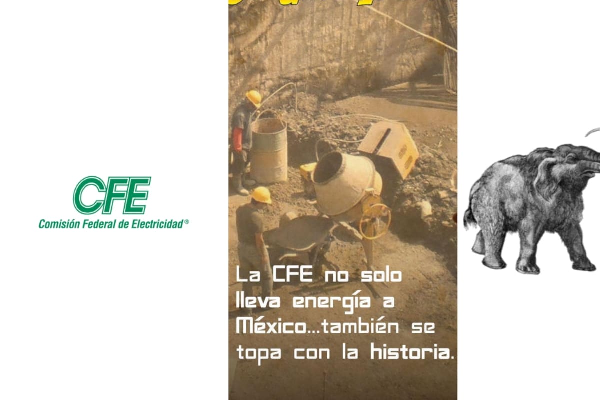 La curiosa vez en que la CFE encontró un colmillo de mamut