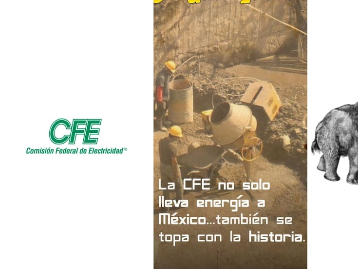 La curiosa vez en que la CFE encontró un colmillo de mamut