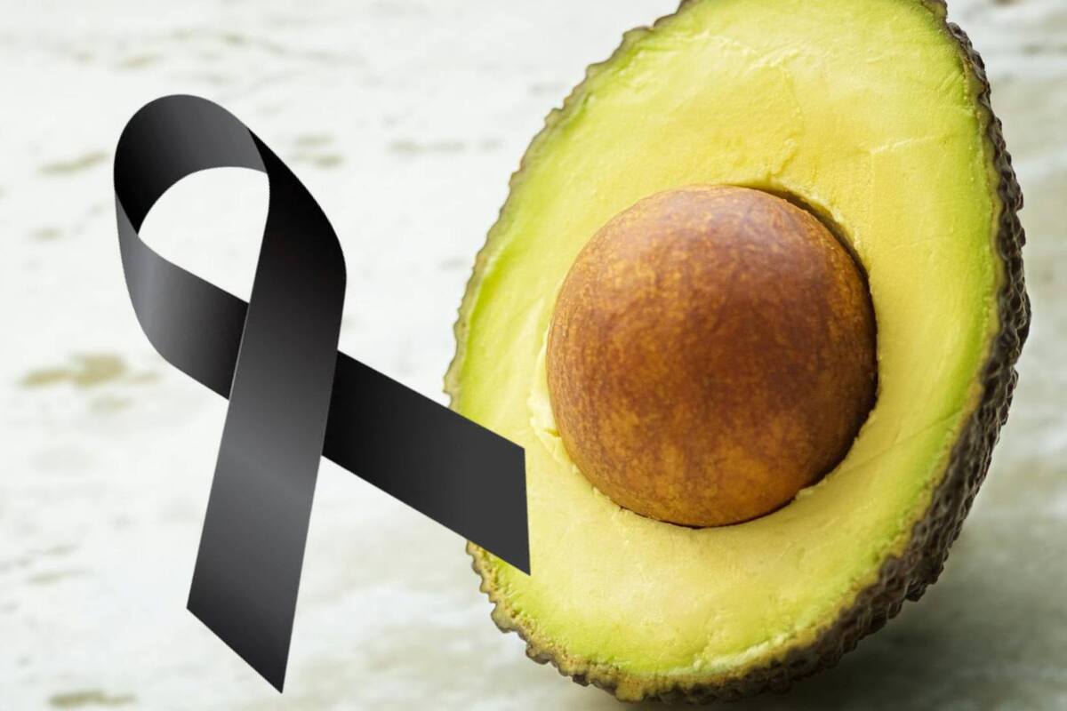 Hombre perdió la vida cuando recolectaba aguacates en la azotea de su casa en Durango