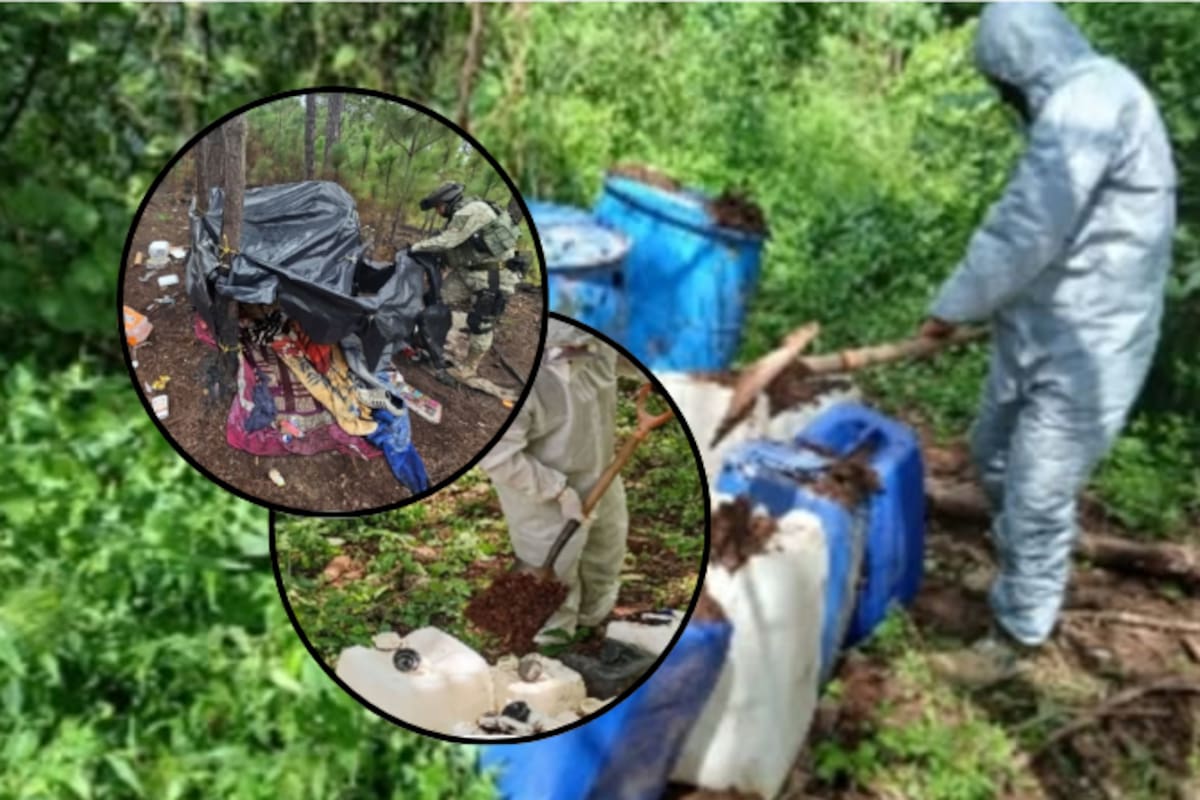 Grupo interinstitucional destruye ocho áreas de almacenamiento de químicos y un campamento en Sinaloa