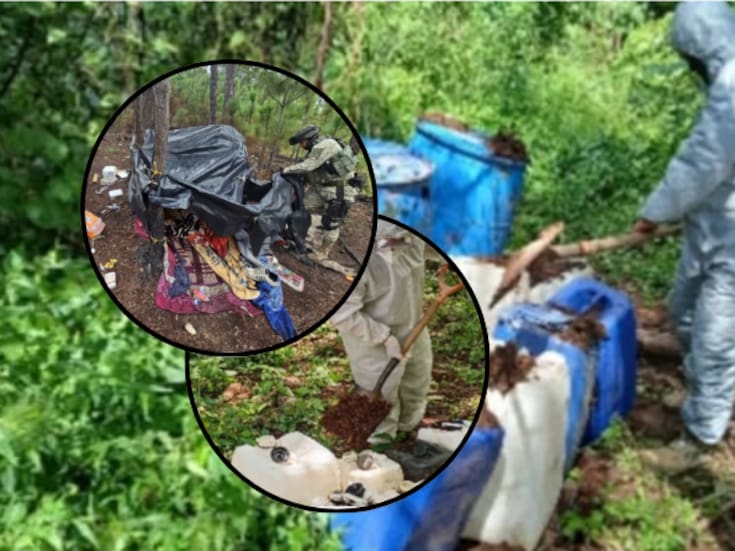 Grupo interinstitucional destruye ocho áreas de almacenamiento de químicos y un campamento en Sinaloa