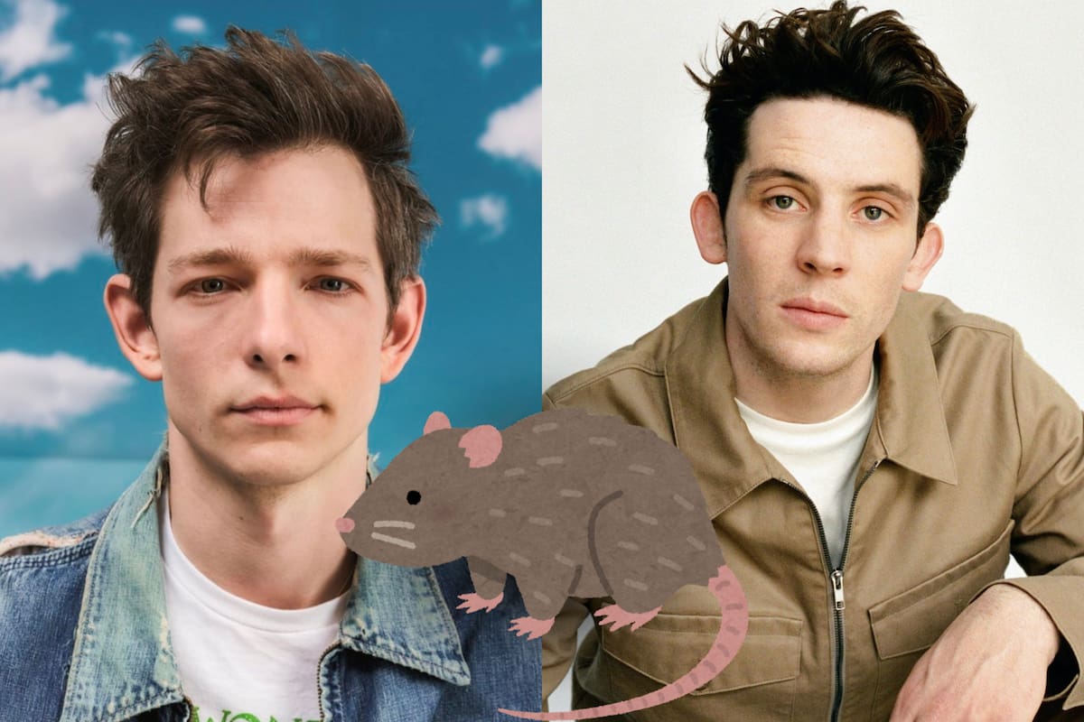 ¿De qué se trata la nueva moda de los guapos “hombres roedores” en internet?