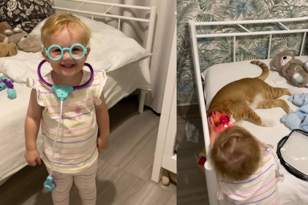 Mujer encuentra a su hija jugando al doctor con su gato naranja y enternece las redes