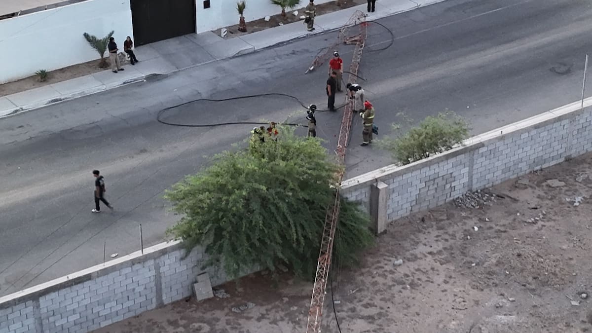 Foto: Cortesía