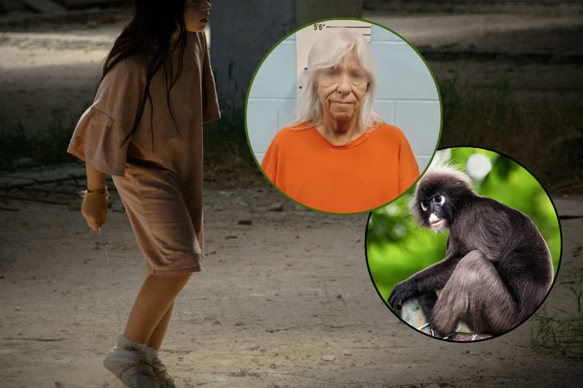 Mujer se declara culpable tras entregar a una niña bajo su resguardo a cambio de un mono; la menor fue localizada en Texas