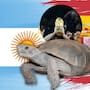 Una tortuga llamada Sonora ya eligió al ganador de la esperada final del Mundial de fútbol 2026: ¿Cuál fue su sorprendente elección?