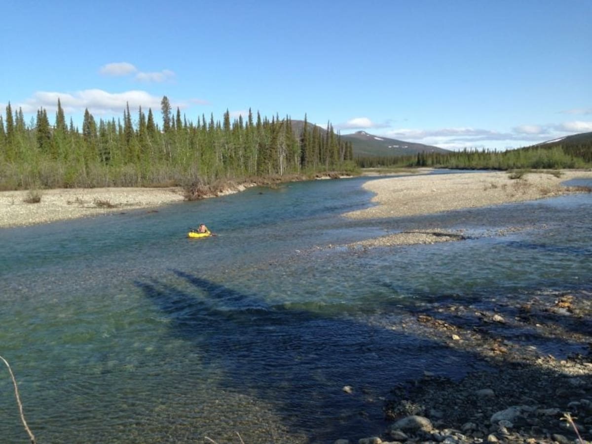 El río Salmon en mejores tiempos. Foto: Patrick Sullivan/Universidad de Alaska.