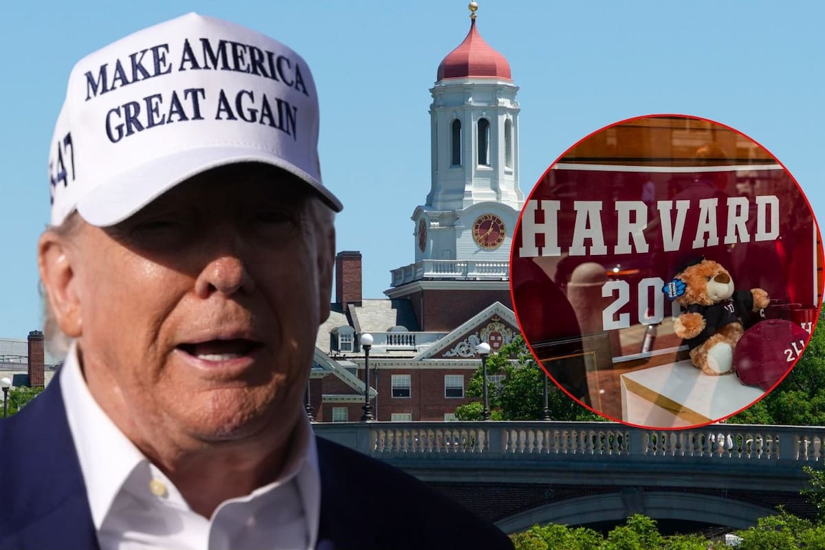 Trump propone a Harvard reducir a 15% el número de estudiantes extranjeros para que la Ivy League “vuelva a ser grande”