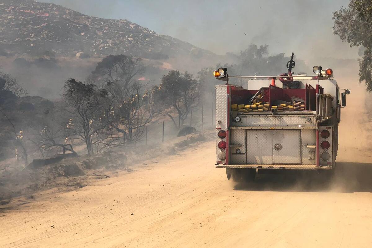 Controlan bomberos incendio forestal en zona de La Paloma en Tecate