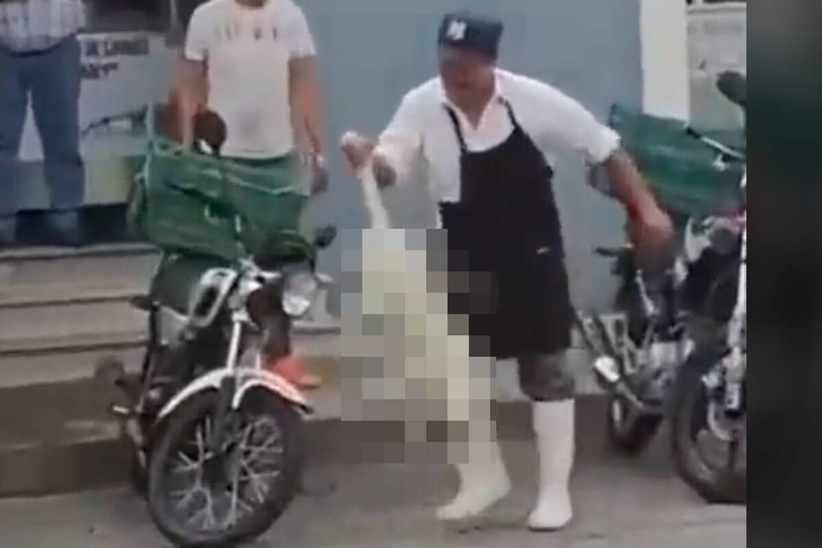VIDEO: Carnicero le dispara con pistola de balines a una perrita en Puebla