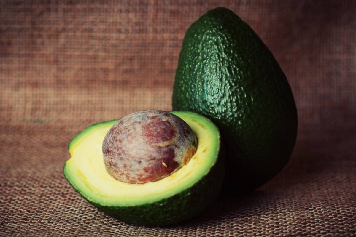Logra mexicano secuenciar el genoma del aguacate
