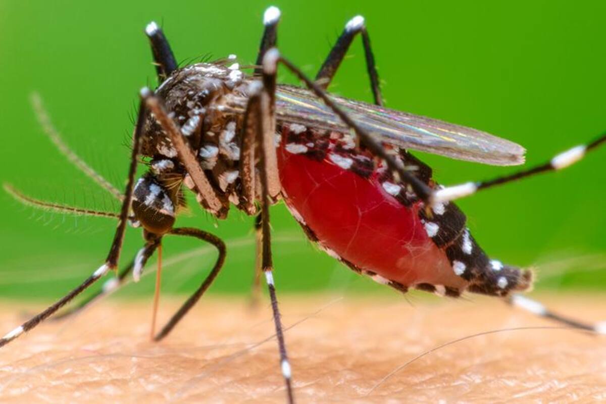 Fumigarán 41 colonias y seis ejidos contra virus del Nilo
