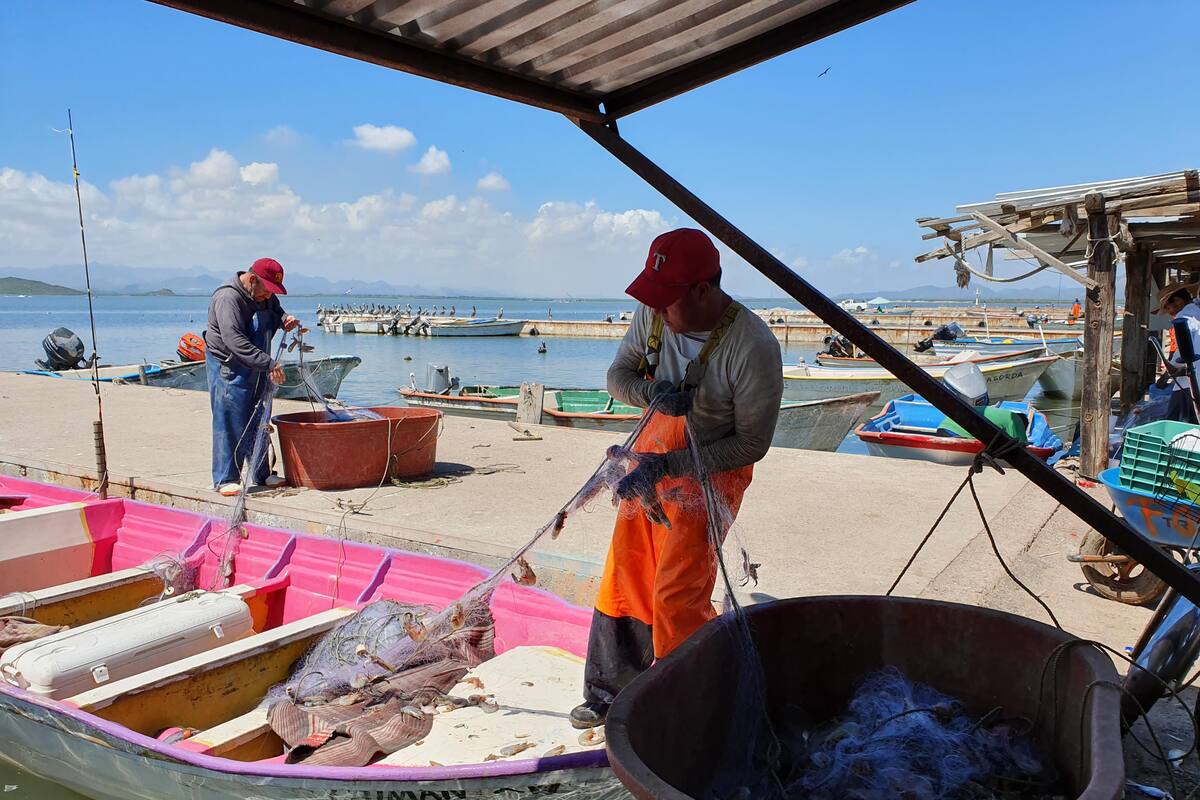 Piden revalorar inicio de la pesca de camarón
