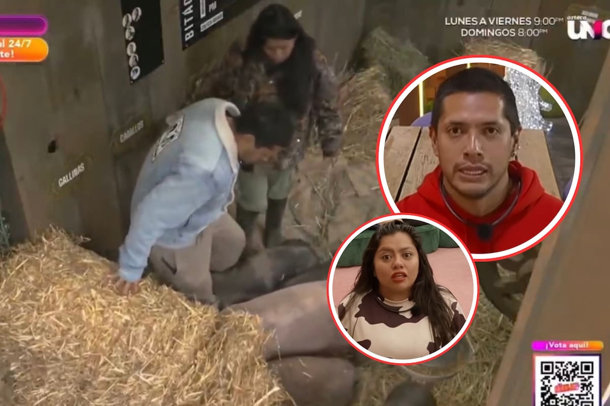 La Bea y Teo en polémica por patear a los cerditos en La Granja VIP; los acusan de maltrato animal