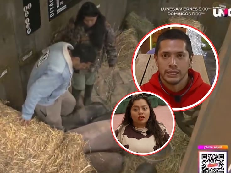La Bea y Teo en polémica por patear a los cerditos en La Granja VIP; los acusan de maltrato animal