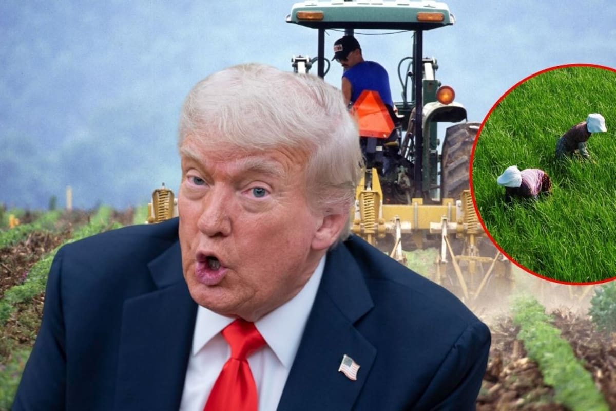¿Se cancela la deportación de agricultores y trabajadores de construcción? Trump revela cómo podrán quedarse a trabajar, pero “no tendrán ciudadanía”