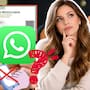 Qué pasará con tu cuenta de WhatsApp si suspenden tu línea telefónica por no completar el registro obligatorio con CURP impuesto por Claudia Sheinbaum antes del 1 de julio
