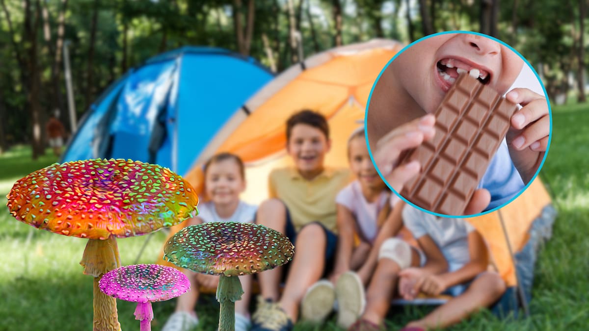 Después de que 13 niños enfermaran al mismo tiempo en un campamento de verano en Estados Unidos, las autoridades se dieron cuenta que habían comido dulces con hongos alucinógenos que un compañero les regaló