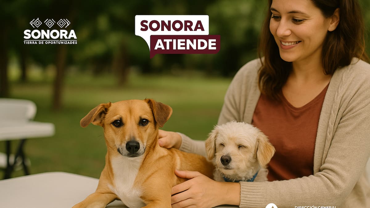 Llegan esterilizaciones, consultas y desparasitaciones gratis a Puerto Peñasco: jornada animal busca frenar abandono y enfermedades