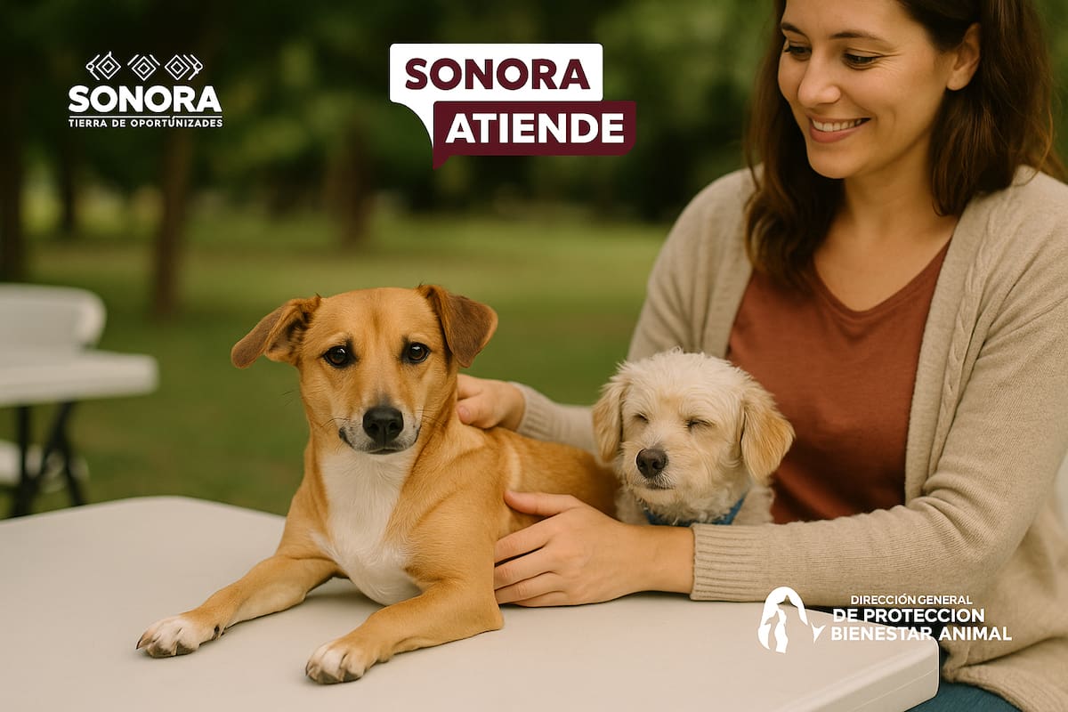 Llegan esterilizaciones, consultas y desparasitaciones gratis a Puerto Peñasco: jornada animal busca frenar abandono y enfermedades