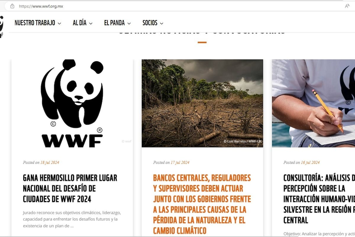 Organización mundial reconoce acciones a favor del medio ambiente en Hermosillo