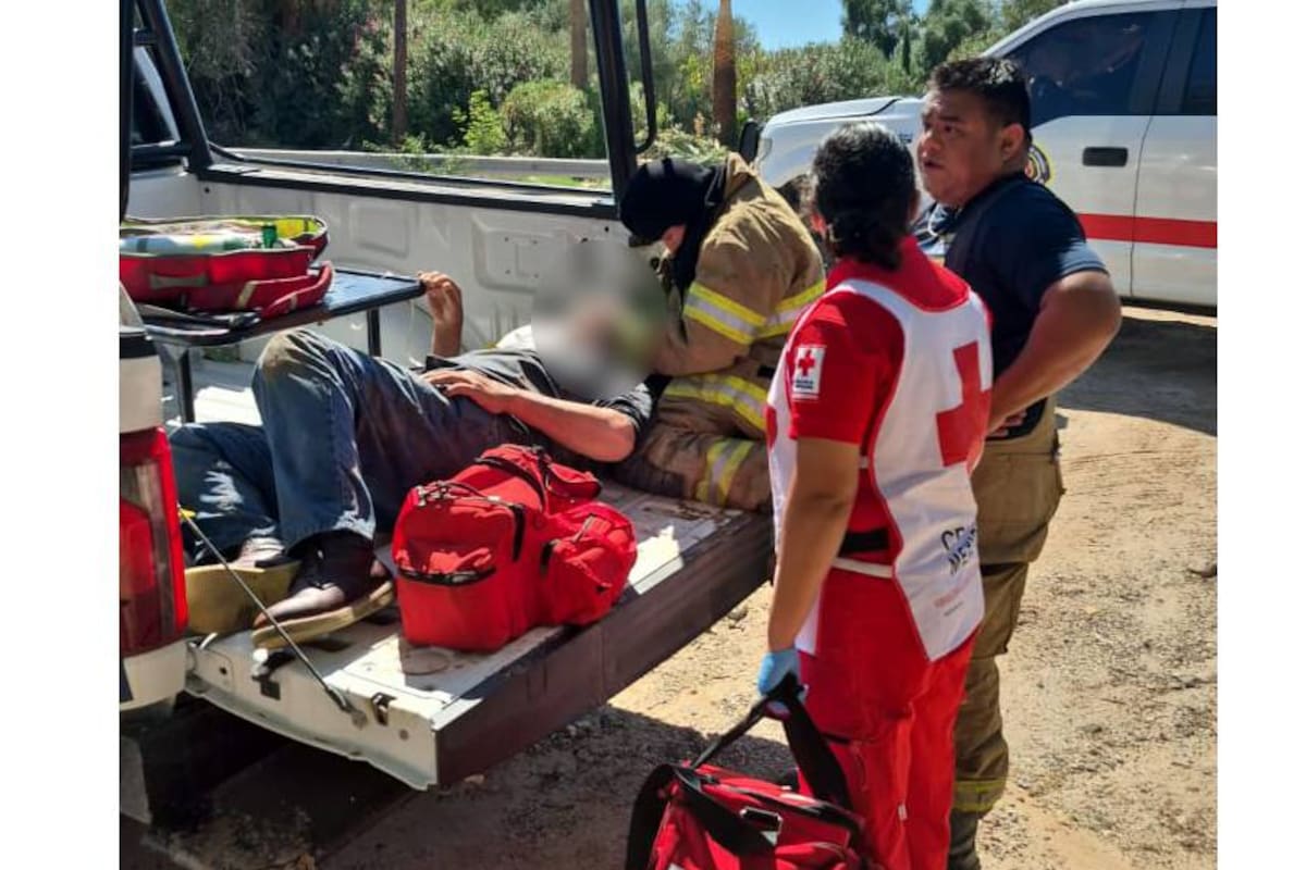 Adulto mayor se arroja a canal tras ser atacado por enjambre de abejas