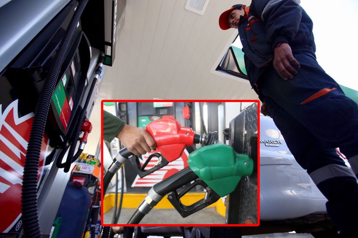 Precio de la gasolina: Estas tendrán subsidio fiscal del 25-31 de enero de 2025