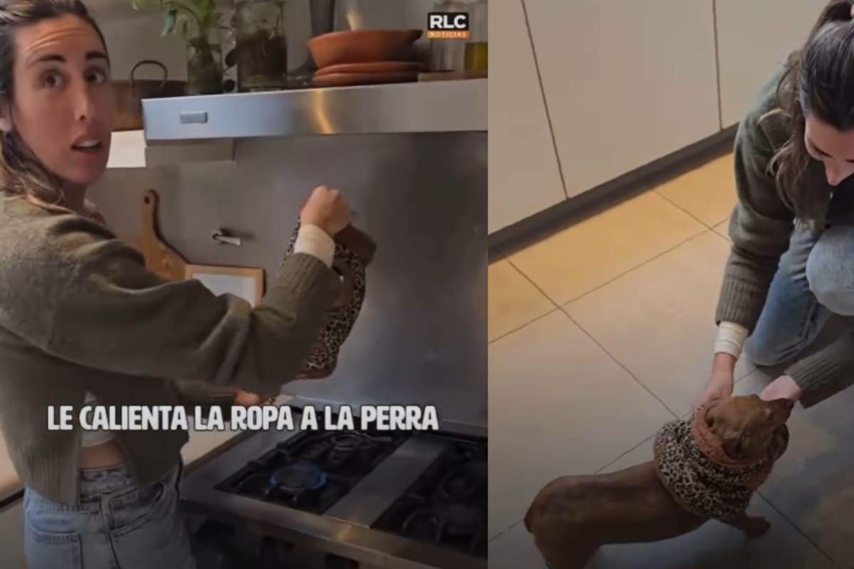 “Eso ya es un montón, no es un bebé”: Hombre critica a su pareja porque le calienta la ropa a su mascota en la estufa antes de ponérsela