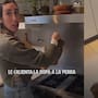 “Eso ya es un montón, no es un bebé”: Hombre critica a su pareja porque le calienta la ropa a su mascota en la estufa antes de ponérsela
