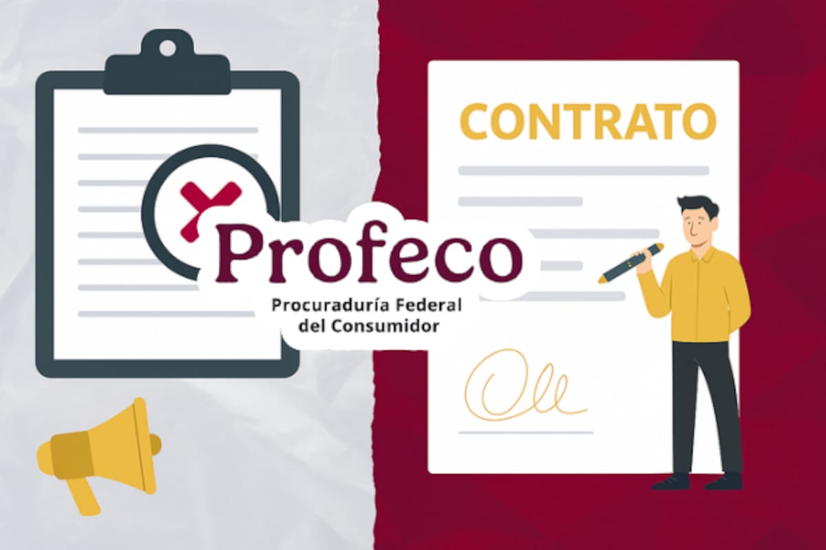 De esta forma puedes identificar un contrato abusivo, según PROFECO