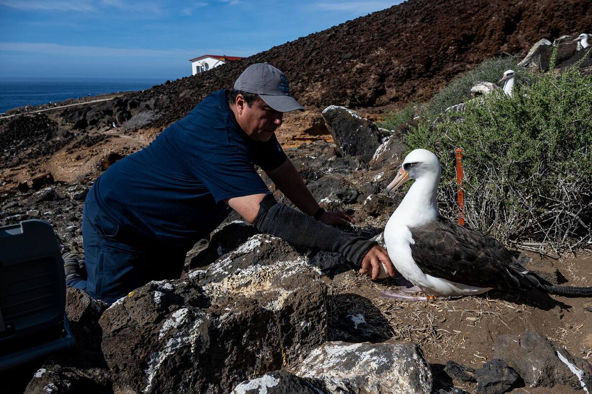 Científicos realizan campaña para conservar las islas de México
