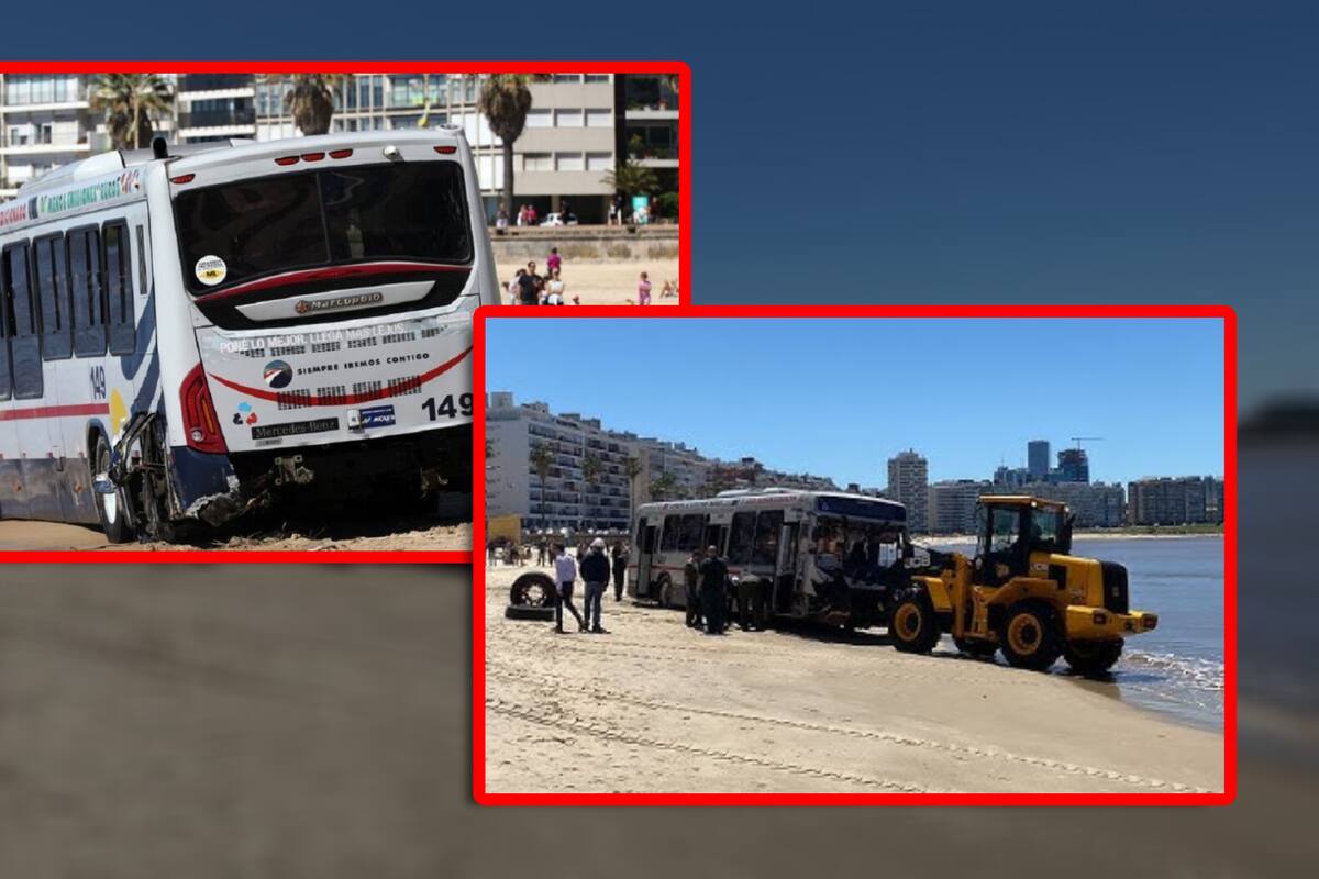VIDEO: Autobús “vuela” y termina en la playa tras perder el control en la avenida; reportan 15 heridos