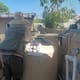 Instalan más de mil ovitrampas contra el dengue en Ensenada