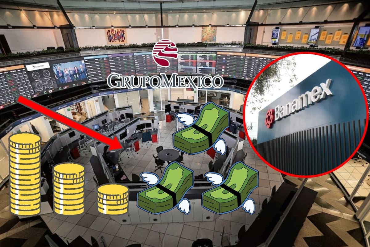 ¡Impacto en la Bolsa! Oferta de Grupo México por Banamex desploma sus propias acciones