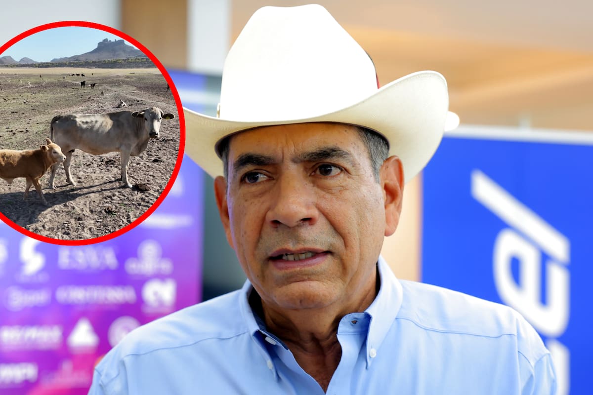 “No fue una sorpresa”: Dice el presidente de la UGRS que ya se había contemplado cierre de frontera por gusano en el ganado