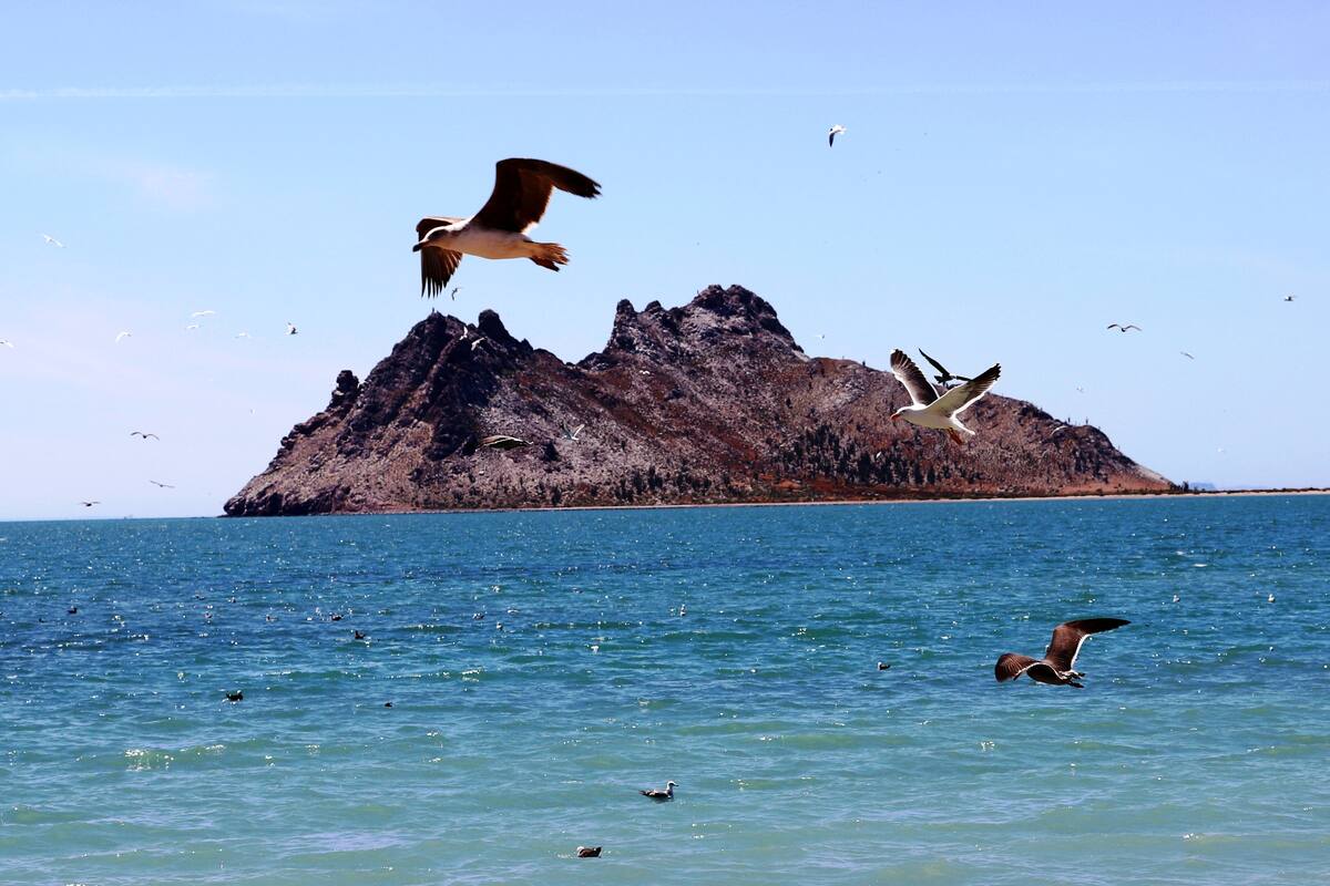 FOTOS: Bahía de Kino ¡Esta lista para recibirte en Semana Santa!