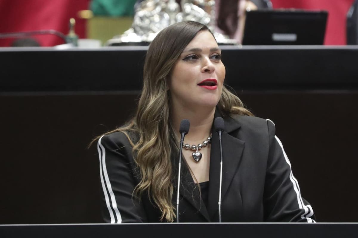 Foto: Cámara de Diputados.
La diputada Ana Isabel González González (PRI) plantea cambios a Ley General de los Derechos de Niñas, Niños y Adolescentes