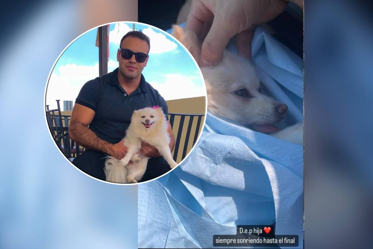 Aseguran clínica veterinaria tras muerte de perrita en Hermosillo