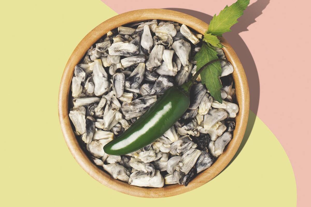 Huitlacoche: el horroroso manjar de los dioses