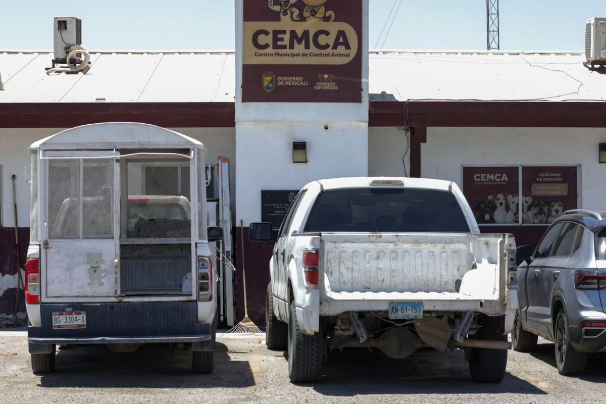 Detectan deficiencias en centros de control animal de cinco municipios de BC; Mexicali sigue pendiente