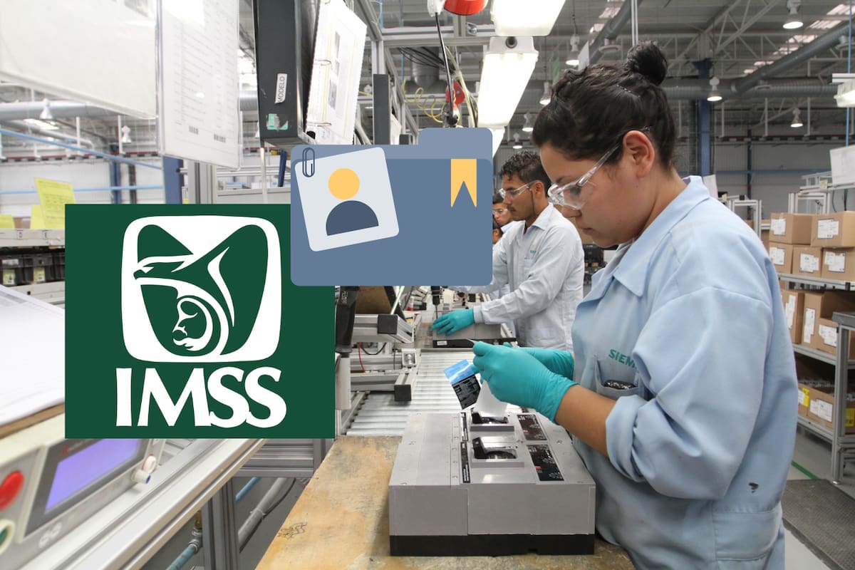 Disminuye el registro patronal ante el IMSS en Sonora: sectores comercial y servicios los más afectados