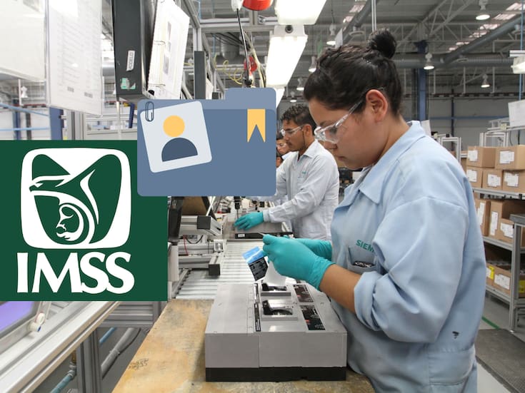 Disminuye el registro patronal ante el IMSS en Sonora: sectores comercial y servicios los más afectados