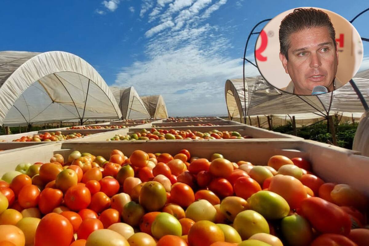 Temen pérdidas millonarias por cobro a tomate