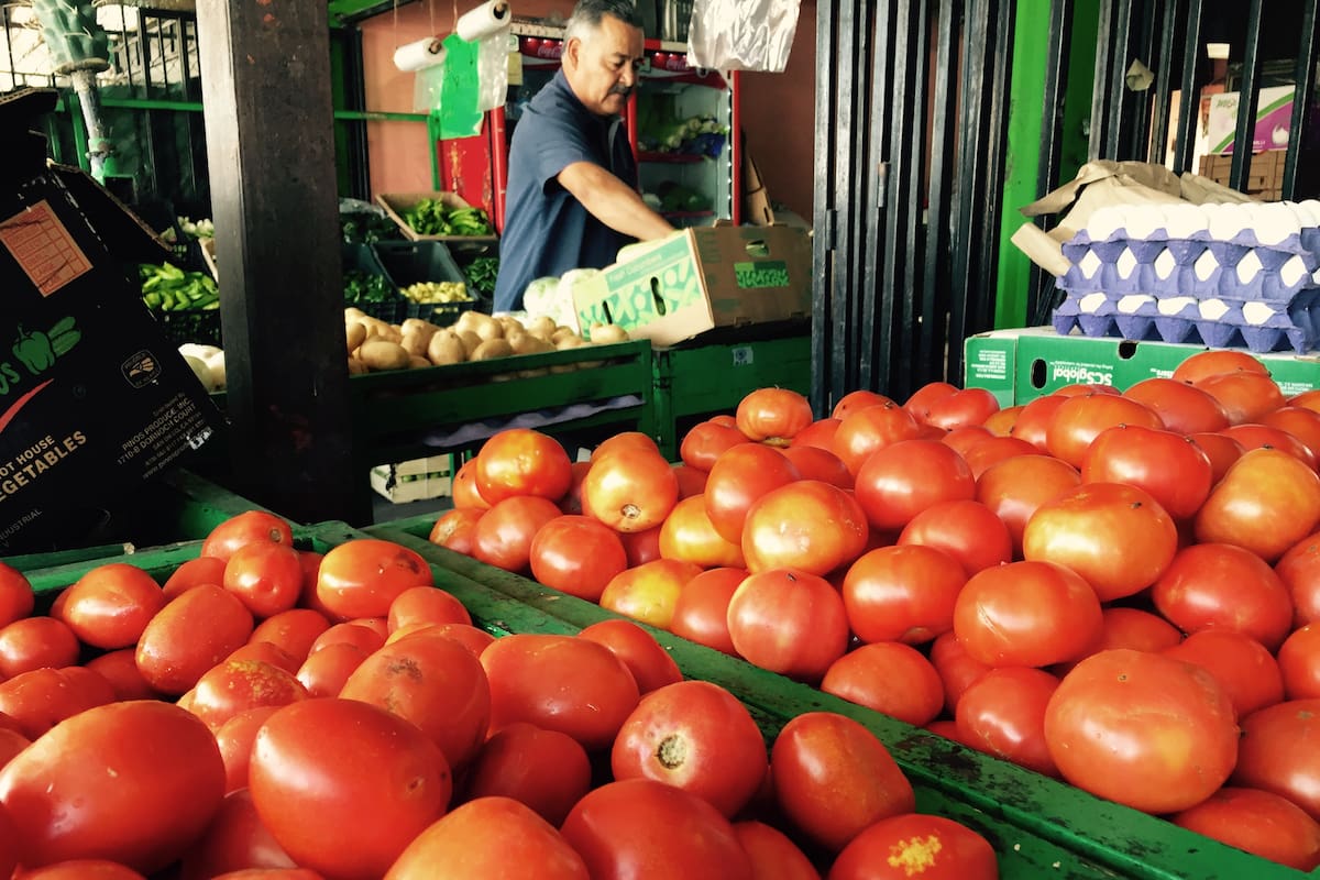 ¿Por qué subió más de 22% el jitomate en septiembre? Menor abasto de producto de buena calidad presiona su precio y el gasto en alimentos