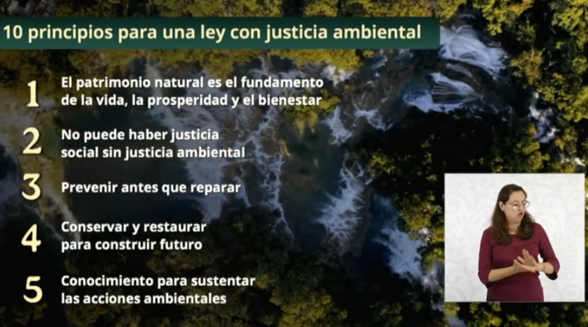 Semarnat resumió la propuesta en 10 principios para una ley con justicia ambiental. | Captura de pantalla