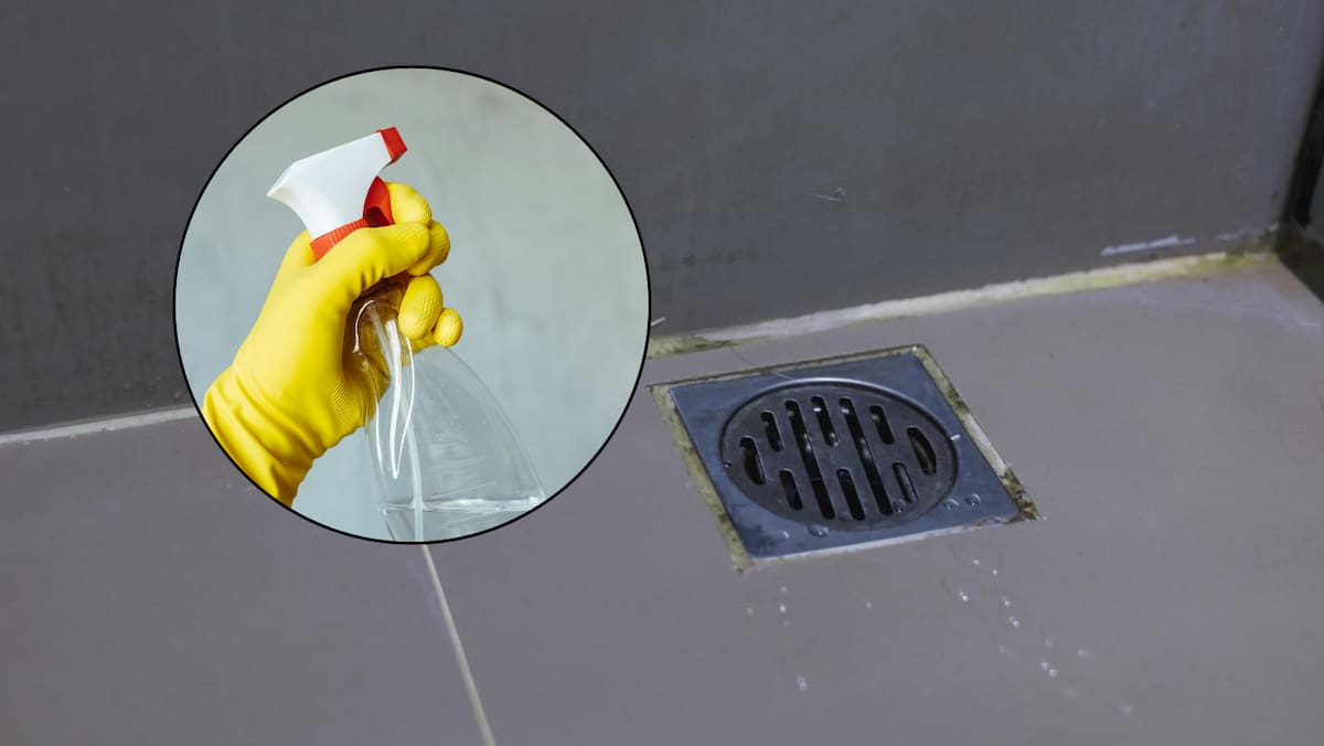 Especialistas explican por qué el vinagre blanco es clave en el mantenimiento del desagüe. Foto: Canvas